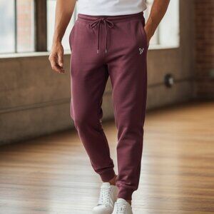 American Eagle Fleece Joggers